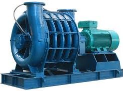 Chỉ Mục1
